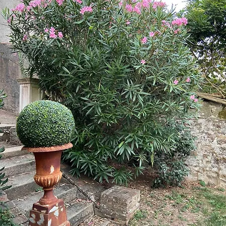 Nyaraló La Maison De Mouna *